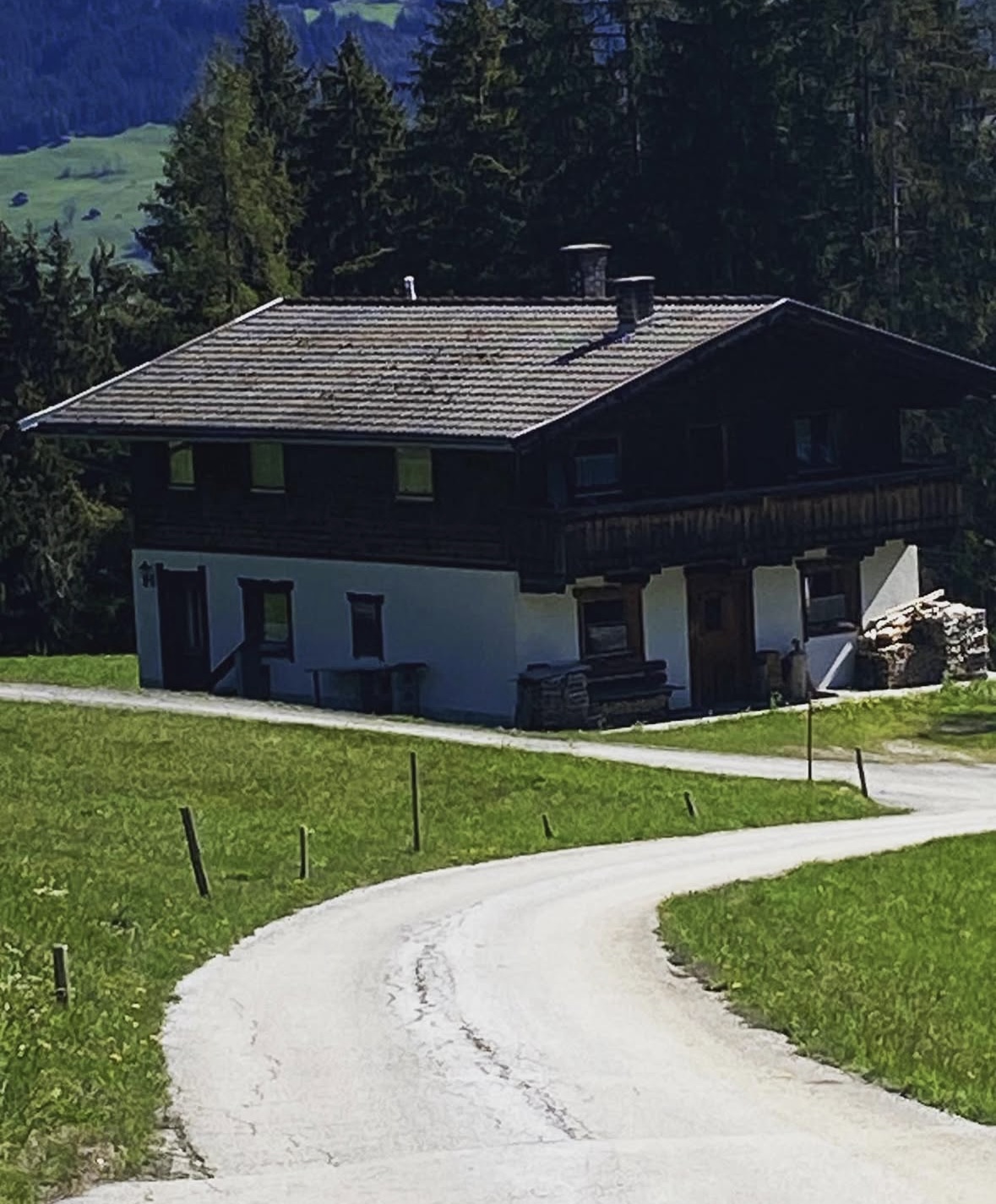 Außenansicht der Ferienhütte Ried-Asten im Sommer mit Holzfassade